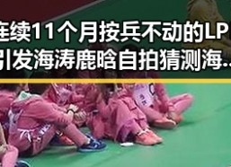 连续11个月按兵不动的LPR引发海涛鹿晗自拍猜测海浪般热议