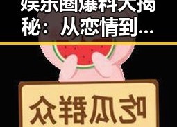 娱乐圈爆料大揭秘：从恋情到离婚再到新剧的全景回顾