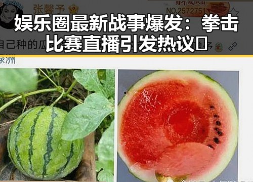 娱乐圈最新战事爆发:拳击比赛直播引发热议🔥