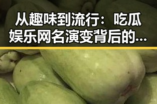 从趣味到流行:吃瓜娱乐网名演变背后的娱乐文化变迁