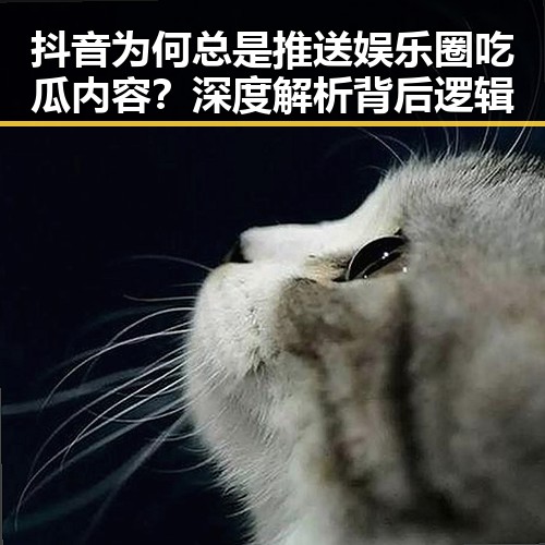 抖音为何总是推送娱乐圈吃瓜内容?深度解析背后逻辑
