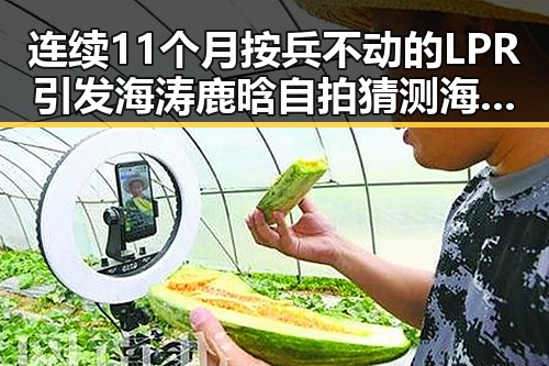 连续11个月按兵不动的LPR引发海涛鹿晗自拍猜测海浪般热议